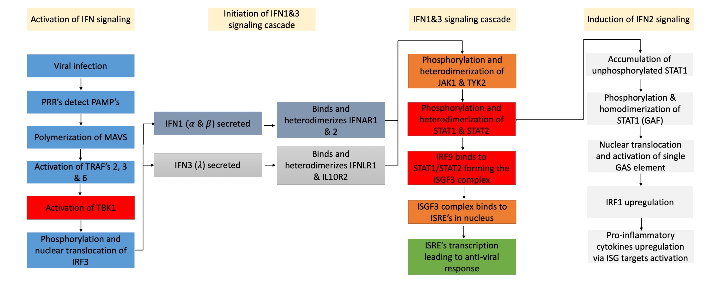 Importance Of Ns5 Protein For Zika Virus Survival V2 Preprints