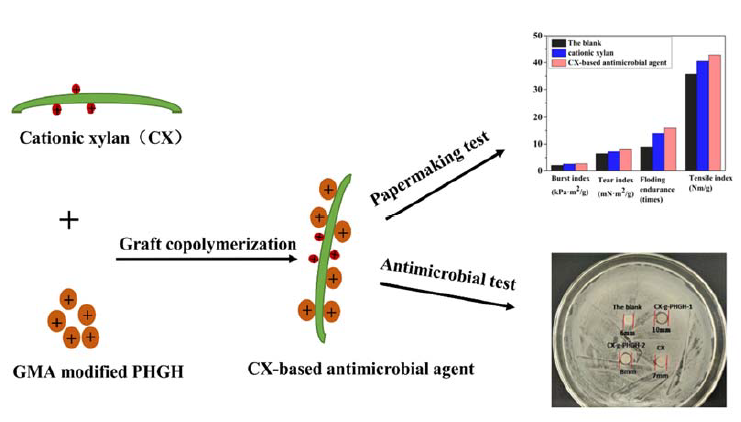 Preparation And Application Of A Xylan Based Antibacterial Additive Agent Against Escherichia Coli Bacteria V1 Preprints