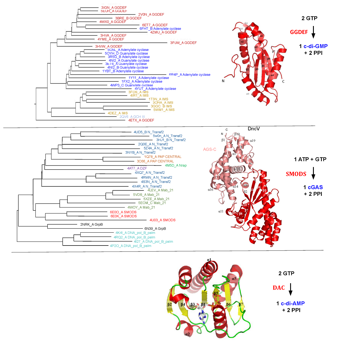 The World Of Cyclic Dinucleotides In Bacterial Behavior V1 Preprints