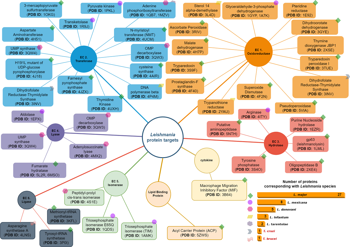 Leishmania Proteomics An In Silico Perspective V3 Preprints