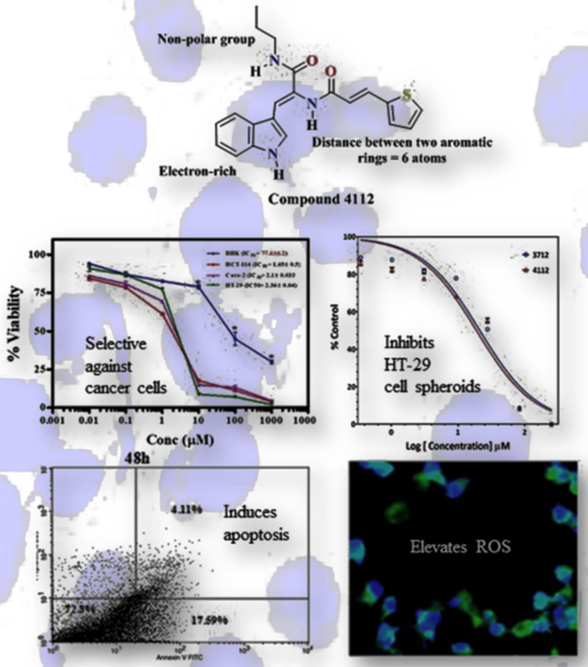 Discovery Optimization And Cellular Activities Of 2 Aroylamino Cinnamamide Derivatives Against Colon Cancer V1 Preprints