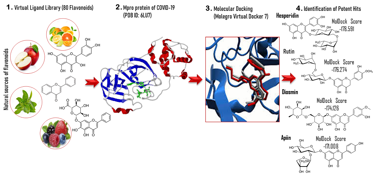 Identification Of Potent Covid 19 Main Protease Mpro Inhibitors From Natural Polyphenols An In Silico Strategy Unveils A Hope Against Corona V1 Preprints