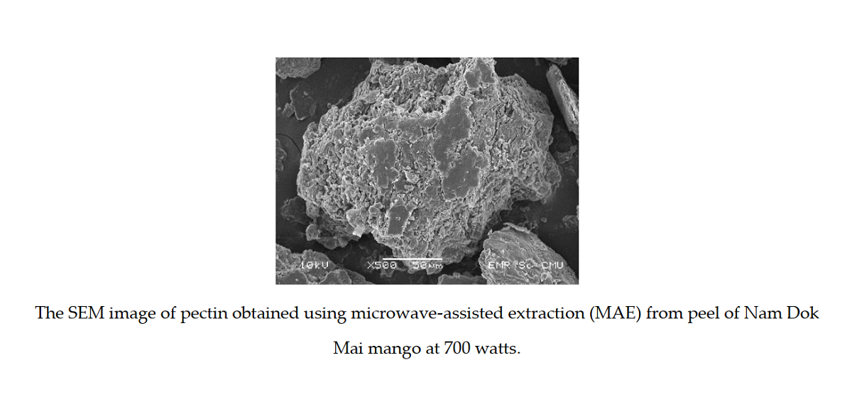 Mango Peel Pectin by MicrowaveAssisted Extraction and Its Use as Fat
