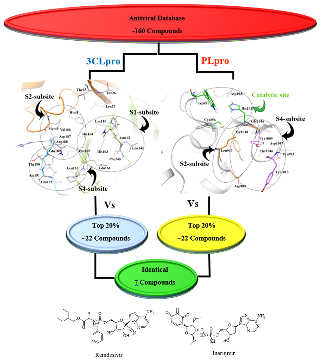 In Silico Repositioning For Dual Inhibitor Discovery Of Sars Cov 2 Covid 19 3c Like Protease And Papain Like Peptidase V1 Preprints