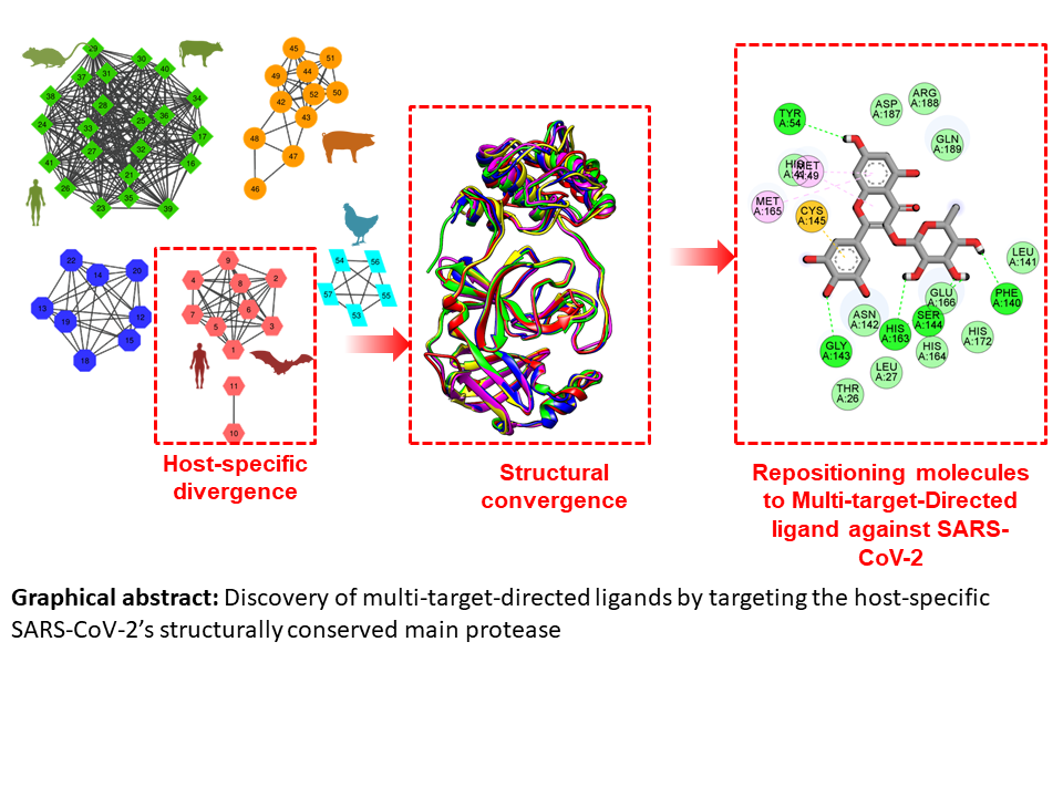 Discovery Of Multi Target Directed Ligands By Targeting Host Specific Sars Cov 2 S Structurally Conserved Main Protease V2 Preprints