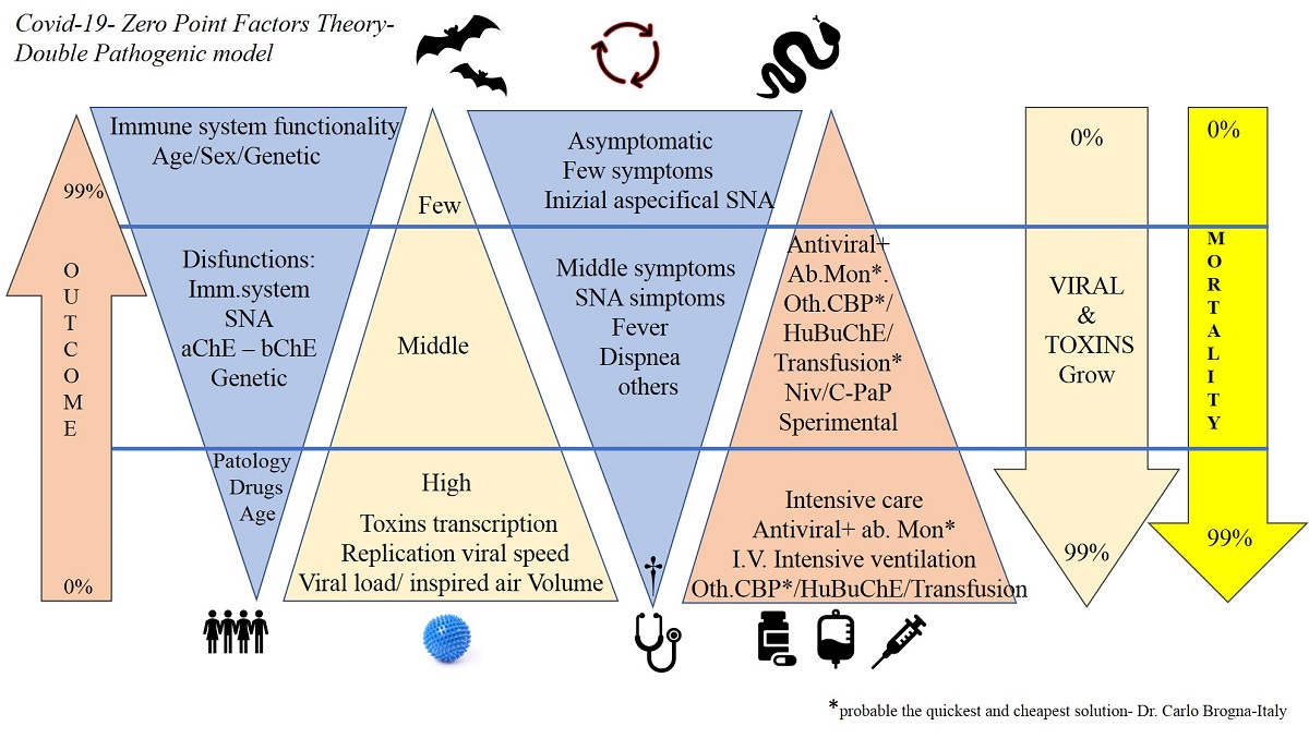 The Covid 19 Virus Double Pathogenic Mechanism A New Perspective V2 Preprints