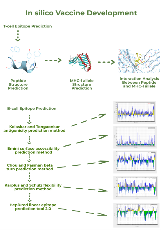 An Integrated In Silico Approach To Develop Epitope Based Peptide Vaccine Against Sars Cov 2 V1 Preprints