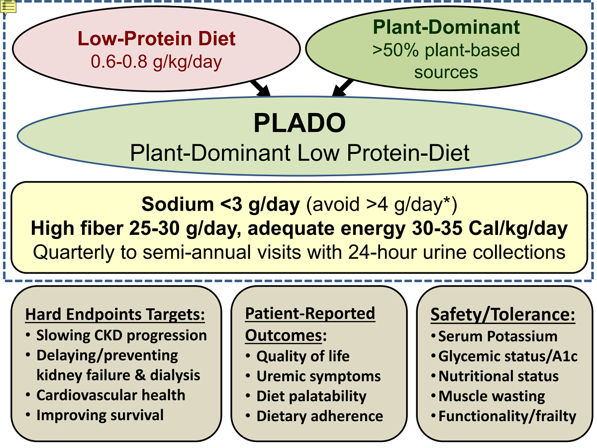 Plant Dominant Low Protein Diet For Conservative Management Of Chronic Kidney Disease V1 Preprints