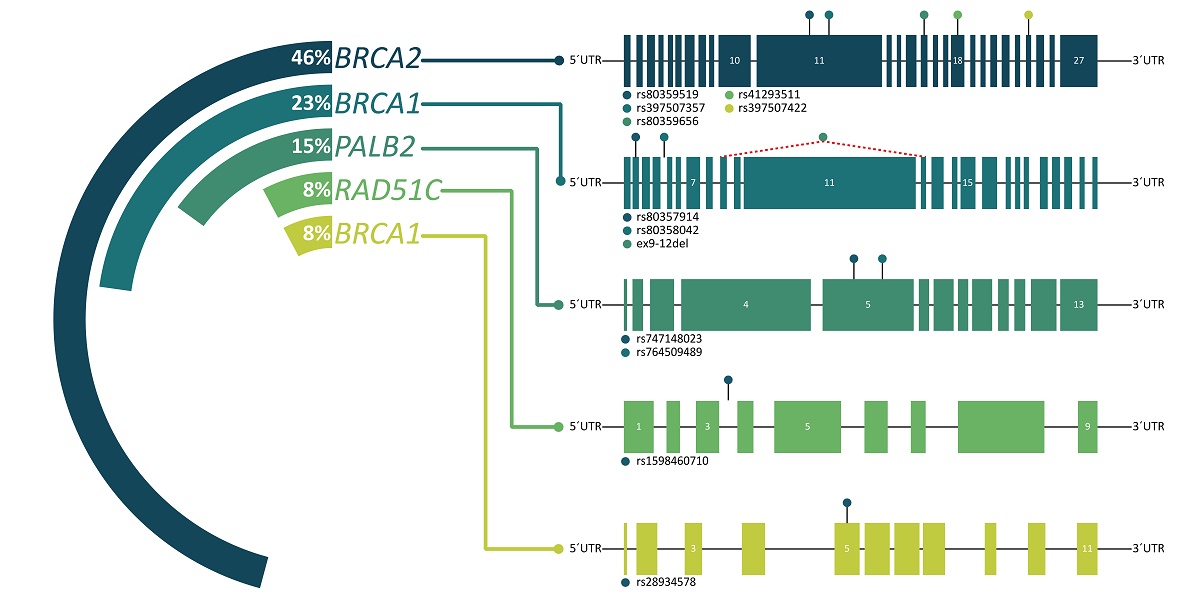 Clinically Relevant Germline Mutations In A Cohort Of Young Women With Breast Cancer A Comprehensive Analysis Of Hereditary Cancer Genes From Whole Exome Sequencing V1 Preprints