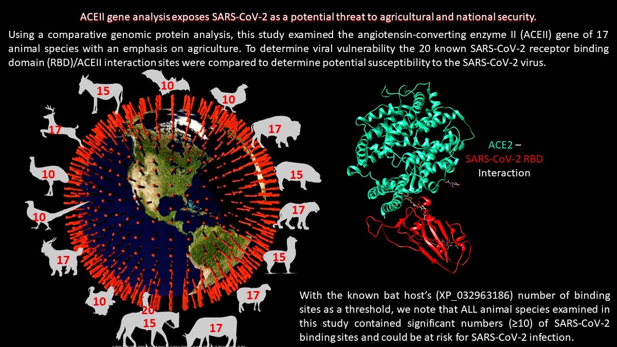 Aceii Gene Analysis Exposes Sars Cov 2 As A Potential Threat To Agricultural And National Security V1 Preprints