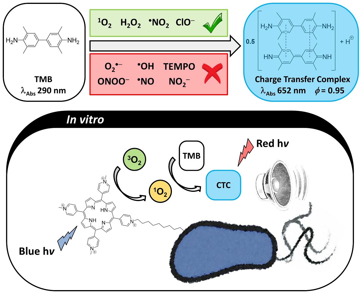 Tetramethylbenzidine A Photoacoustic Probe for Reactive Oxygen Species