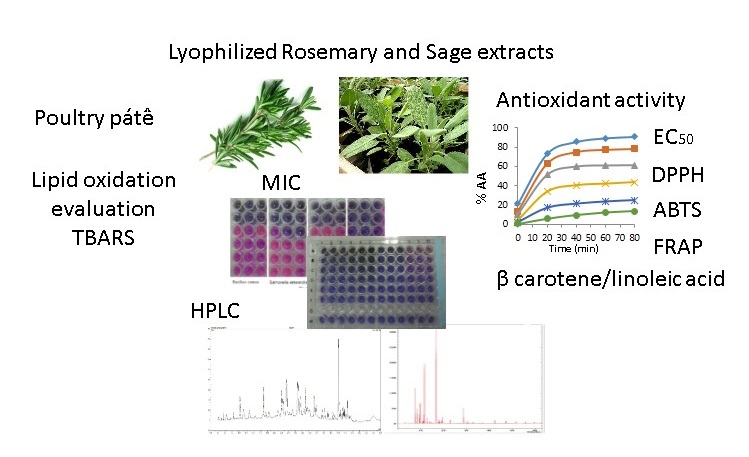 Antioxidant Properties Of Lyophilized Rosemary And Sage Extract And Its Effect To Prevent Lipid Oxidation In Poultry Pate V1 Preprints