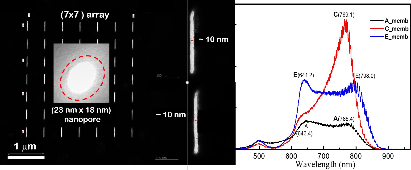 Fabrication Of Various Plasmonic Nano Aperture Platforms With A 10 Nm Width V1 Preprints