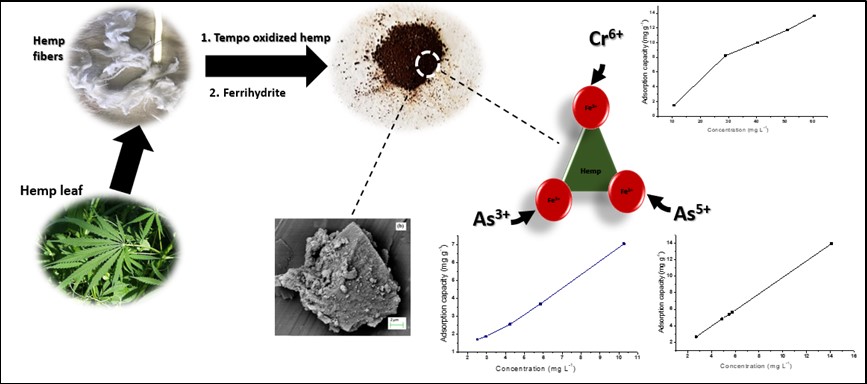 Cellulose Supported Ferrihydrites For The Removal Of As Iii As V And Cr Vi From Mining Contaminated Water V1 Preprints