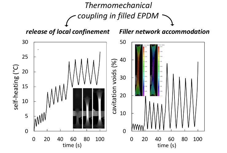 Effect Of The Strain Rate On Damage In Filled Epdm During Single And Cyclic Loadings V1 Preprints