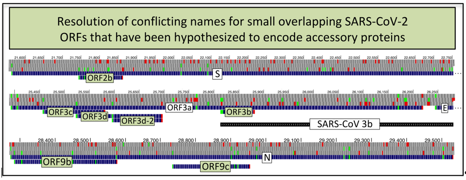 Conflicting And Ambiguous Names Of Overlapping Orfs In Sars Cov 2 A Homology Based Resolution V1 Preprints