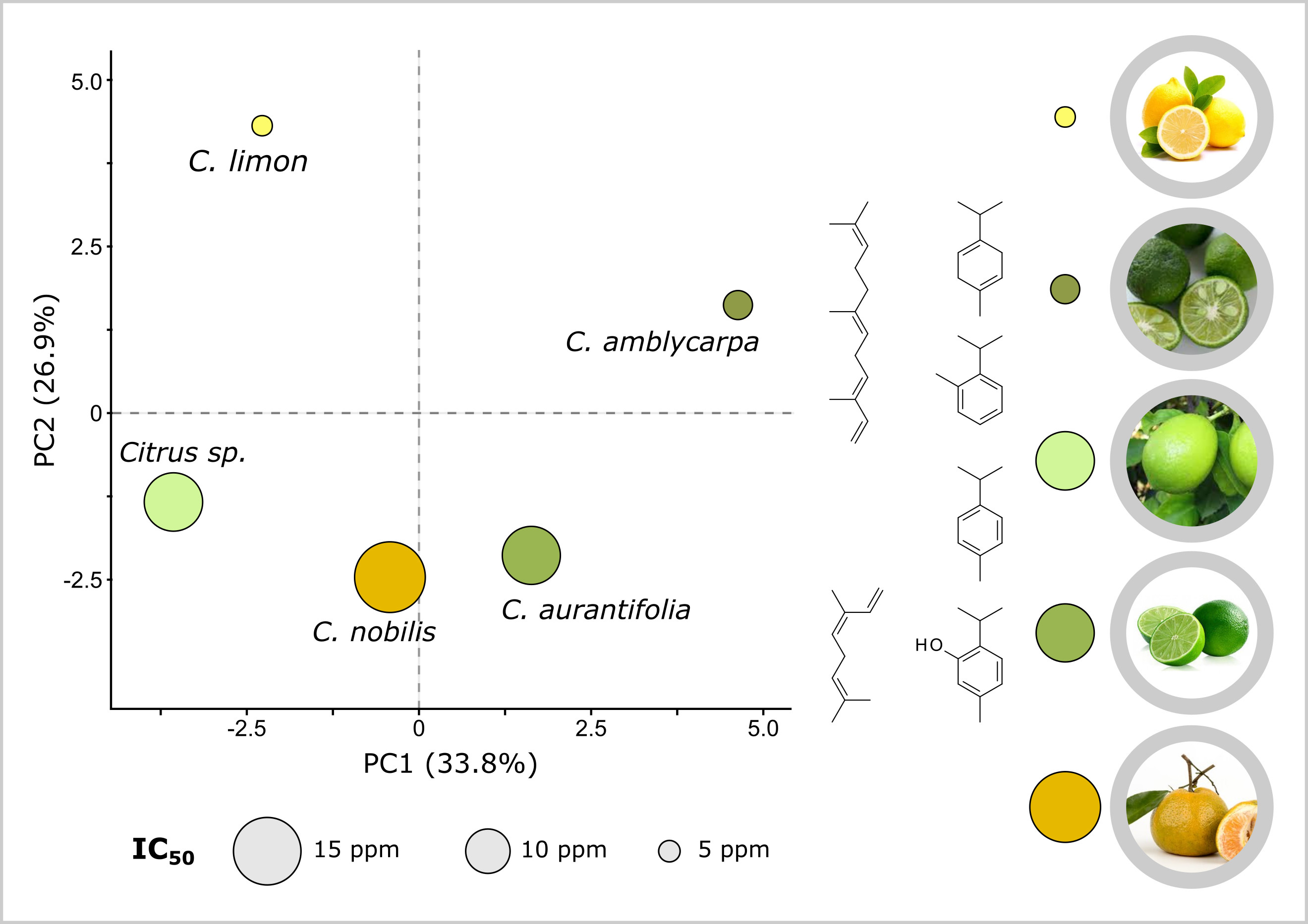 Chemical Compositions And Antioxidant Activities Of Indonesian Citrus Essential Oils And Their Elucidation Using Principal Component Analysis V1 Preprints