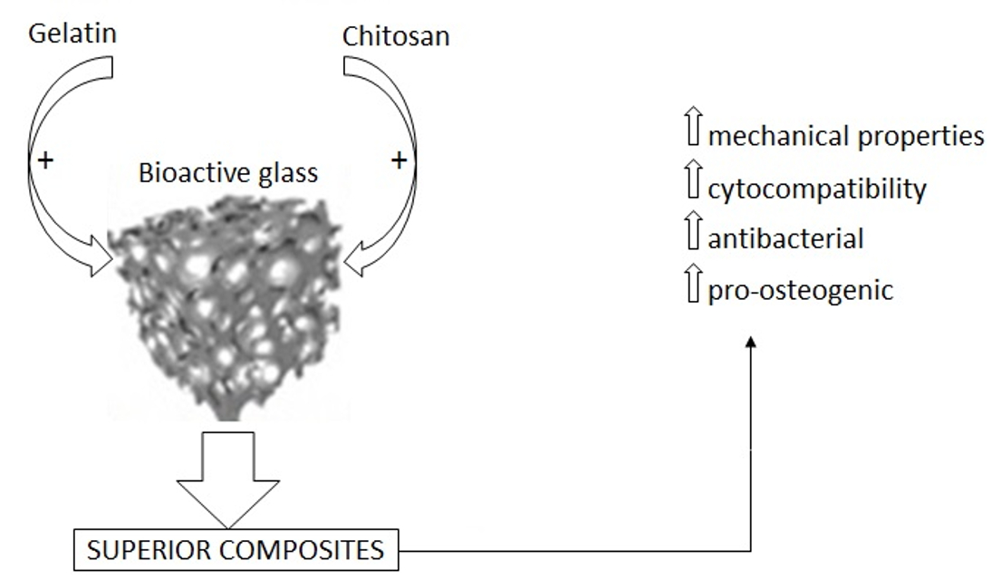 Enhancing Mechanical Properties And Biological Performances Of Injectable Bioactive Glass By Gelatin And Chitosan For Bone Small Defect Repair V1 Preprints