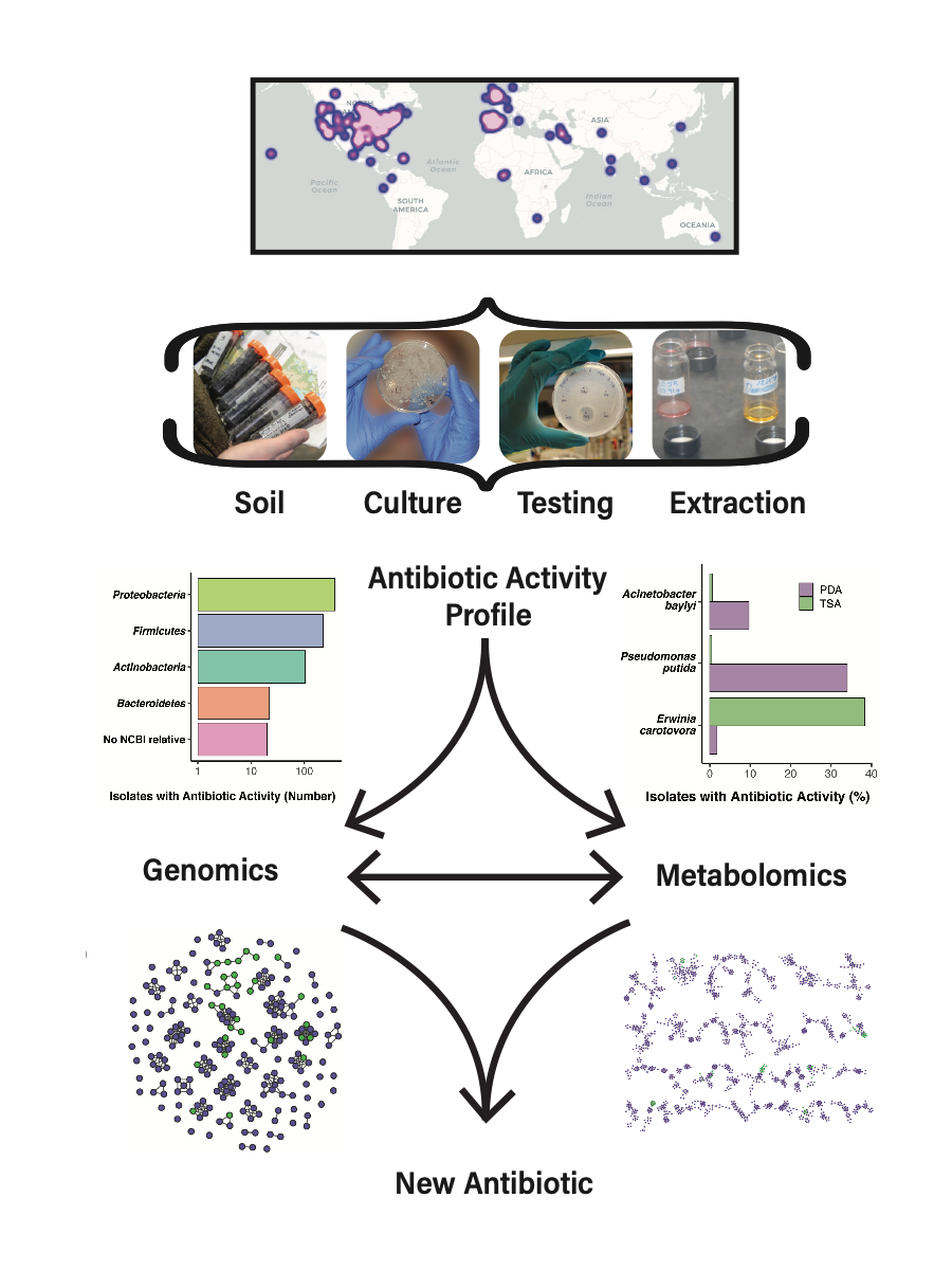 Tiny Earth A Big Idea For Stem Education And Antibiotic Discovery V1 Preprints