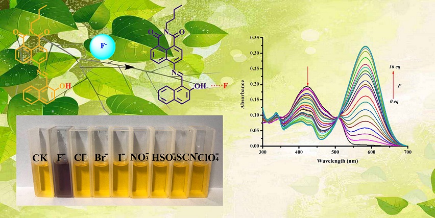 A Naked Eye Visible Colorimetric And Ratiometric Chemosensor Based On Schiff Base For Fluoride Anion Detection V1 Preprints