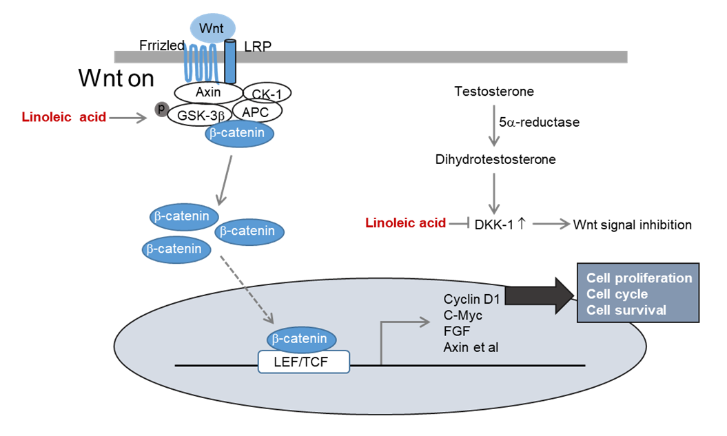 Nanodrug Delivery Strategies to Signaling Pathways in Alopecia