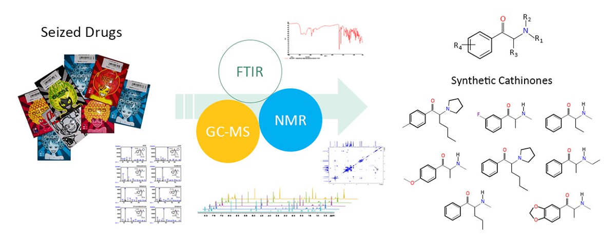 Metabolite Structure Assignment Of Seized Products Containing Cathinone Derivatives Through High Resolution Analytical Techniques V1 Preprints