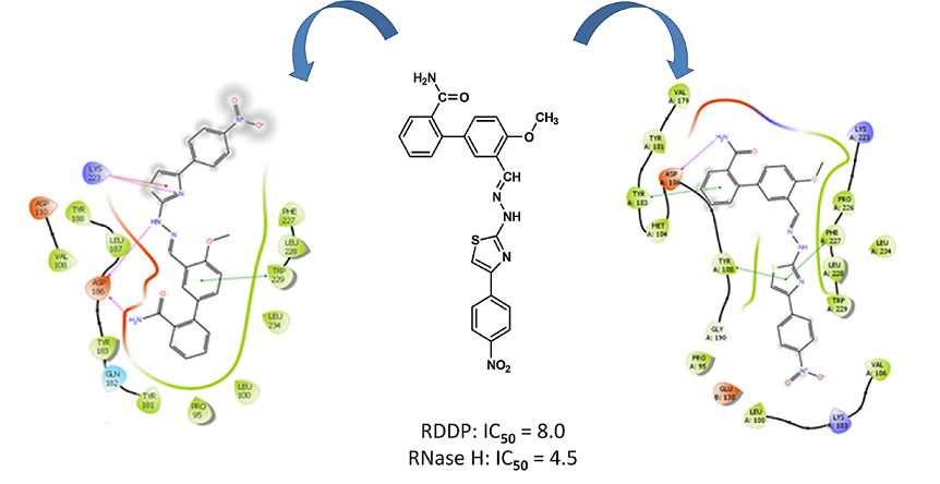 Exploring New Scaffolds For The Dual Inhibition Of Hiv 1 Rt Polymerase And Ribonuclease Associated Functions V1 Preprints