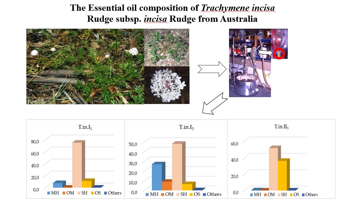 The Essential Oil Composition Of Trachymene Incisa Rudge Subsp Incisa Rudge From Australia V1 Preprints