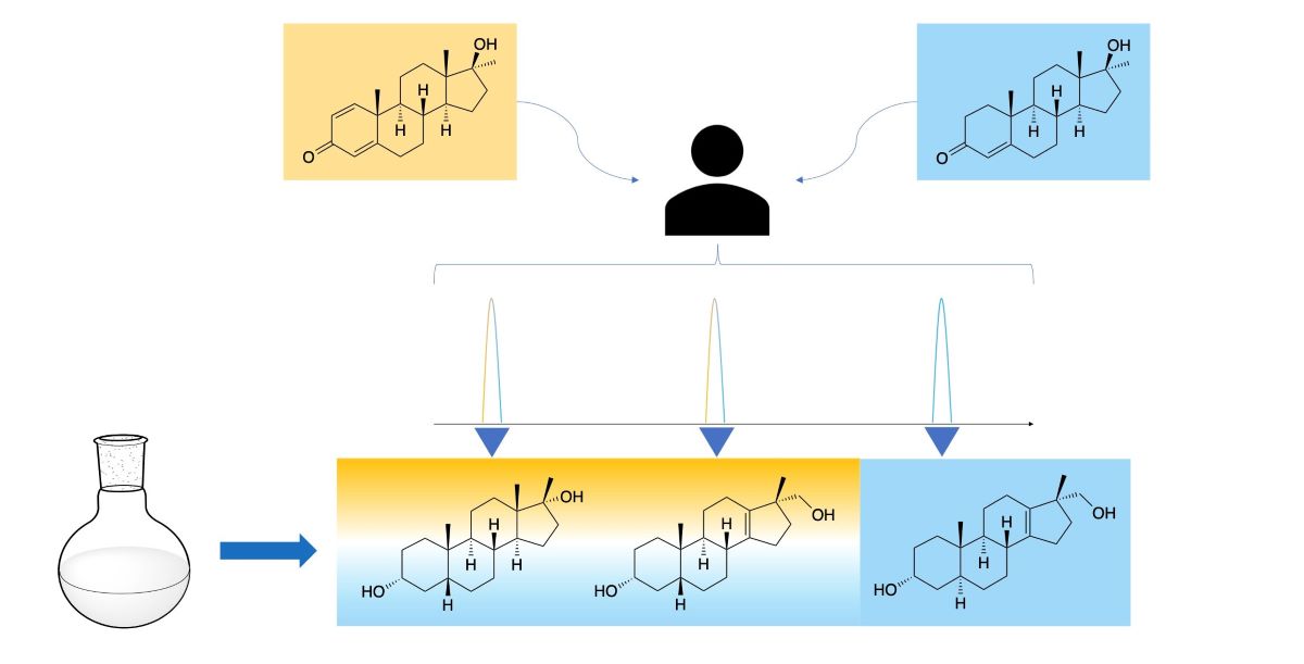 New Insights Into The Metabolism Of Methyltestosterone And Metandienone Detection Of Novel A Ring Reduced Metabolites V1 Preprints
