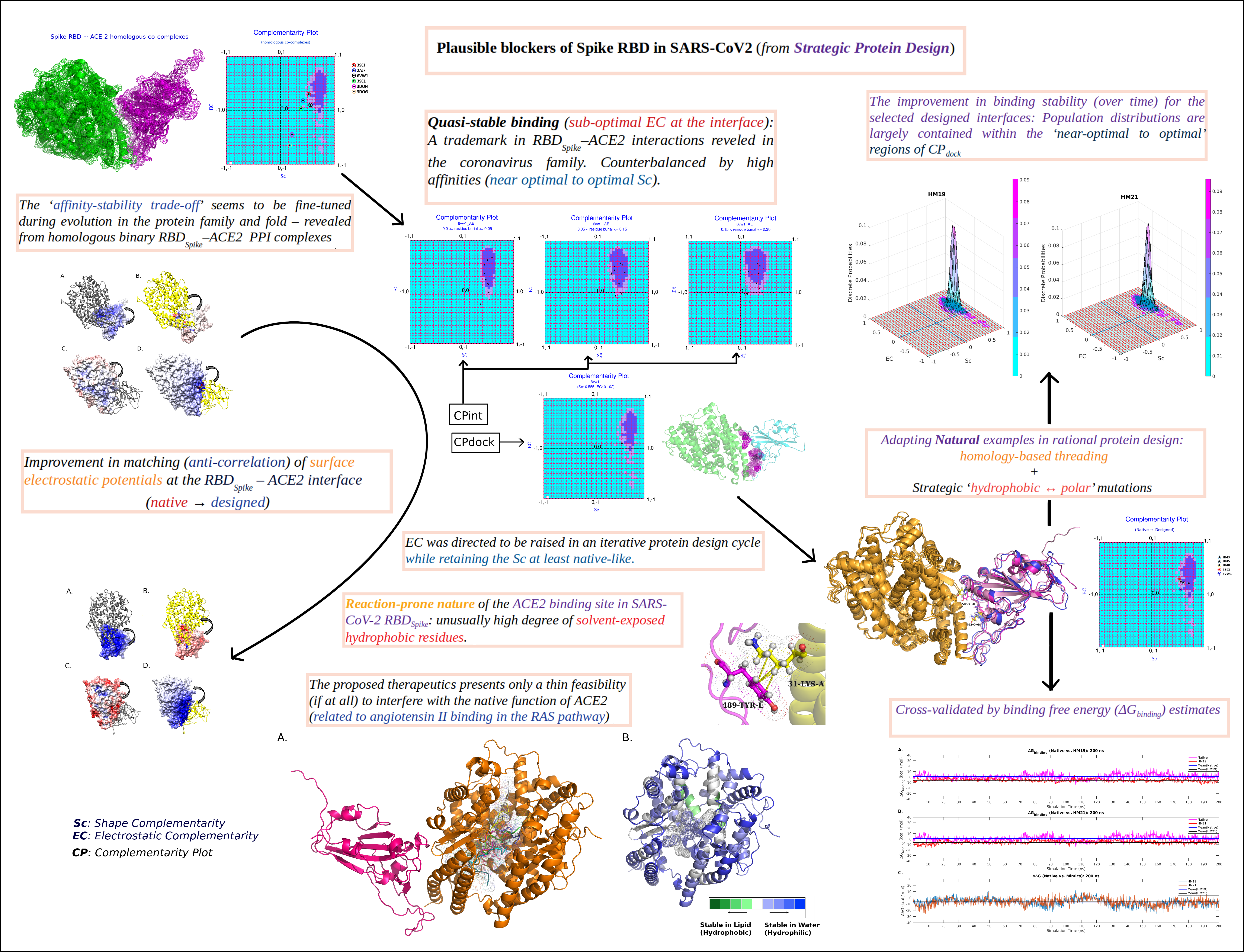 Plausible Blockers Of Spike Rbd In Sars Cov2 Molecular Design And Underlying Interaction Dynamics From High Level Structural Descriptors V2 Preprints