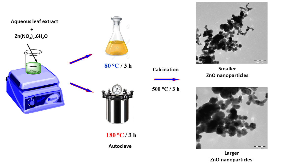 Synthesis Of Zno Nanoparticles By Using Rosmarinus Officinalis Extract And Their Application For Methylene Bleu And Crystal Violet Dyes Degradation Under Sunlight Irradiation V1 Preprints