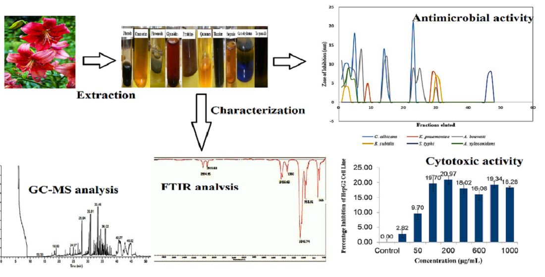 Lilium Philadelphicum Flower As A Novel Source Of Antimicrobial Agents A Study Of Bioactivity Phytochemical Analysis And Partial Identification Of Antimicrobial Metabolites V1 Preprints