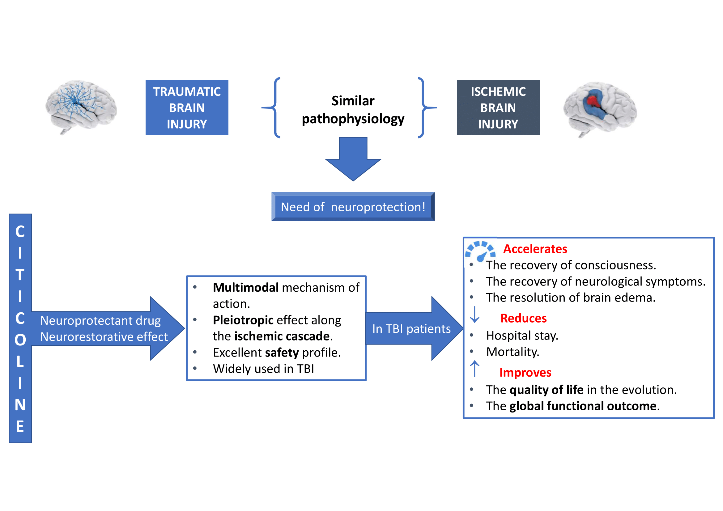 Role Of Citicoline In The Management Of Traumatic Brain Injury V1 Preprints