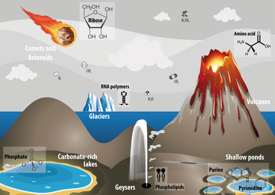 Prebiotic Chemical Refugia Multifaceted Scenario For The Formation Of Biomolecules In Primitive Earth V1 Preprints