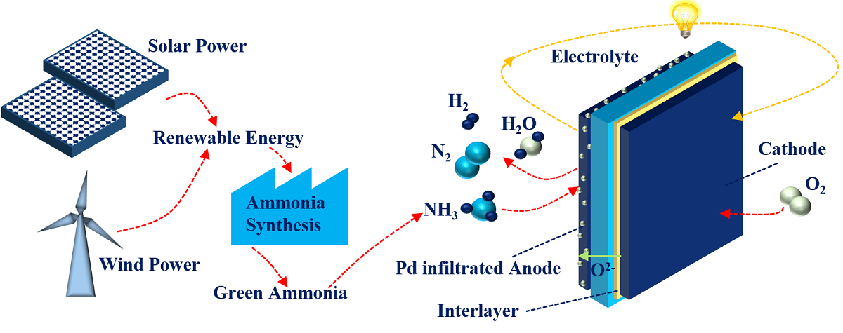 Evaluation Of La0 60sr0 40 0 95co0 fe0 80o3 X Ag Composite Anode For Direct Ammonia Solid Oxide Fuel Cells And Effect Of Pd Impregnation On The Electrochemical Performance V1 Preprints