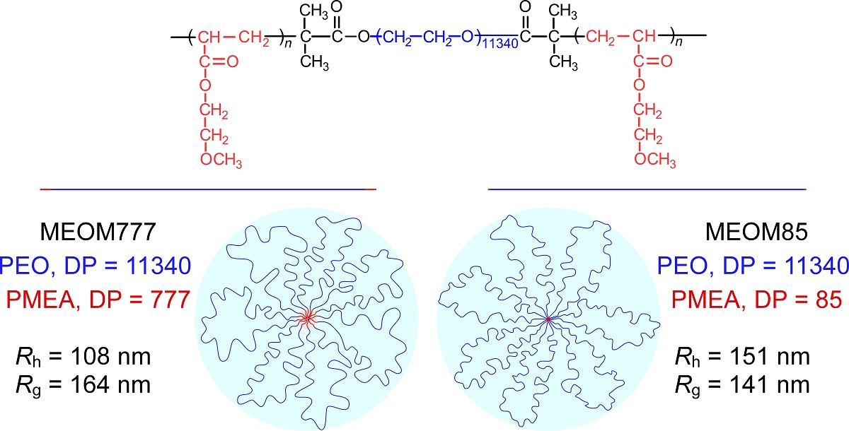 Association Behavior Of Amphiphilic Aba Triblock Copolymer Composed Of Poly 2 Methoxyethyl Acrylate A And Poly Ethylene Oxide B In Aqueous Solution V1 Preprints