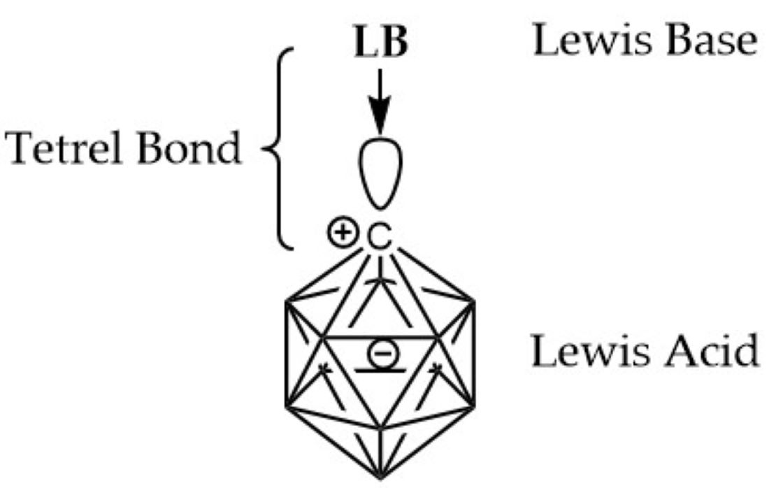 Tetrel Bonding In Cb11h11 Carbonium Ylide V1 Preprints