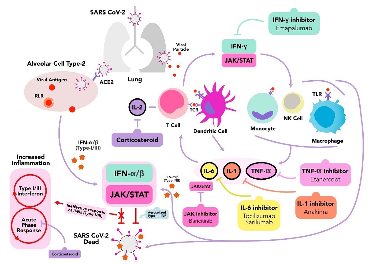 Immunomodulation As A Potent Covid 19 Pharmacotherapy Past Present And Future V1 Preprints