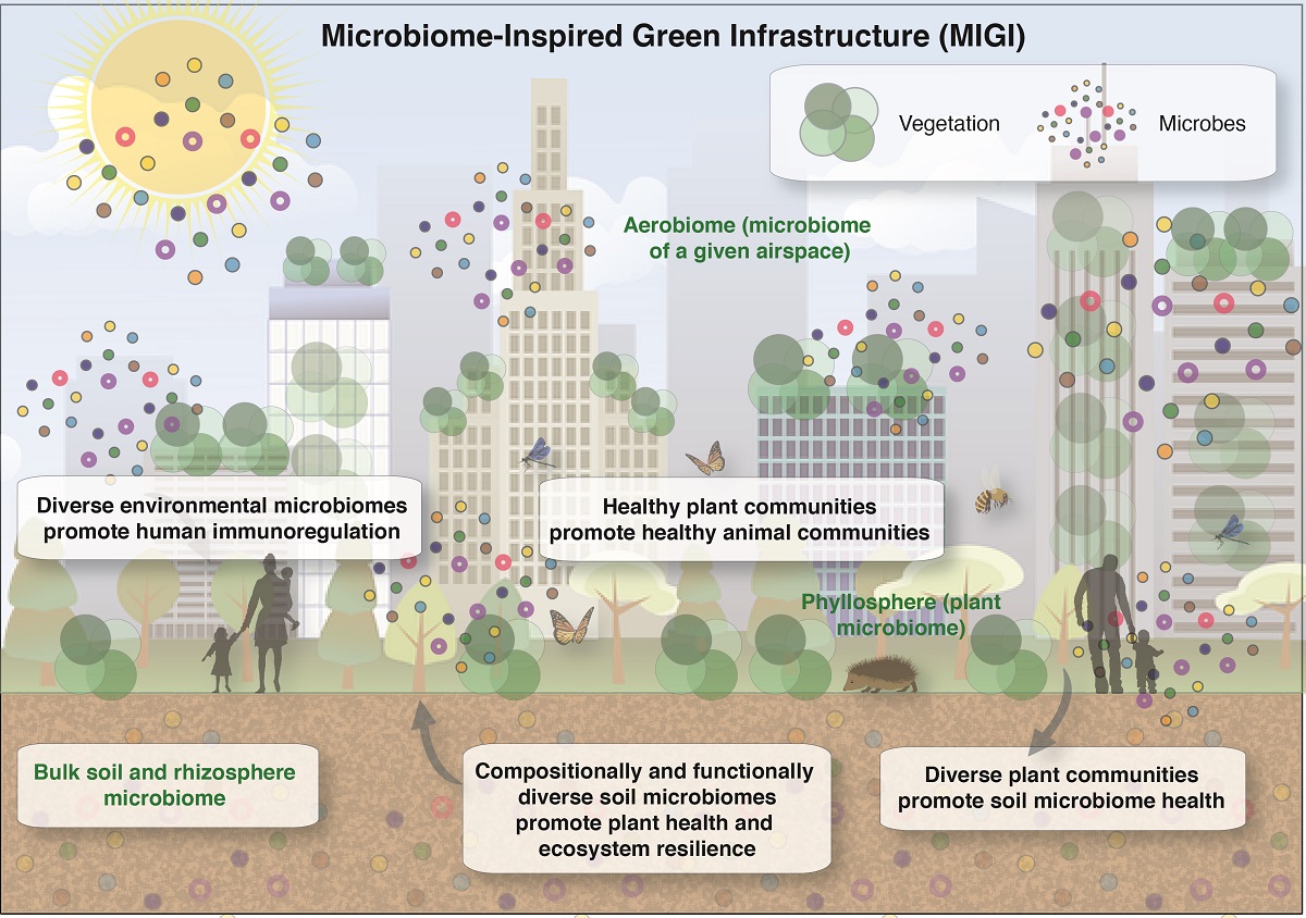 Microbiome Inspired Green Infrastructure Migi A Bioscience Roadmap For Urban Ecosystem Health V1 Preprints
