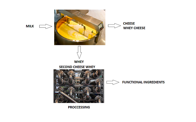 Dairy By Products A Review On The Valorization Of Whey And Second Cheese Whey V1 Preprints