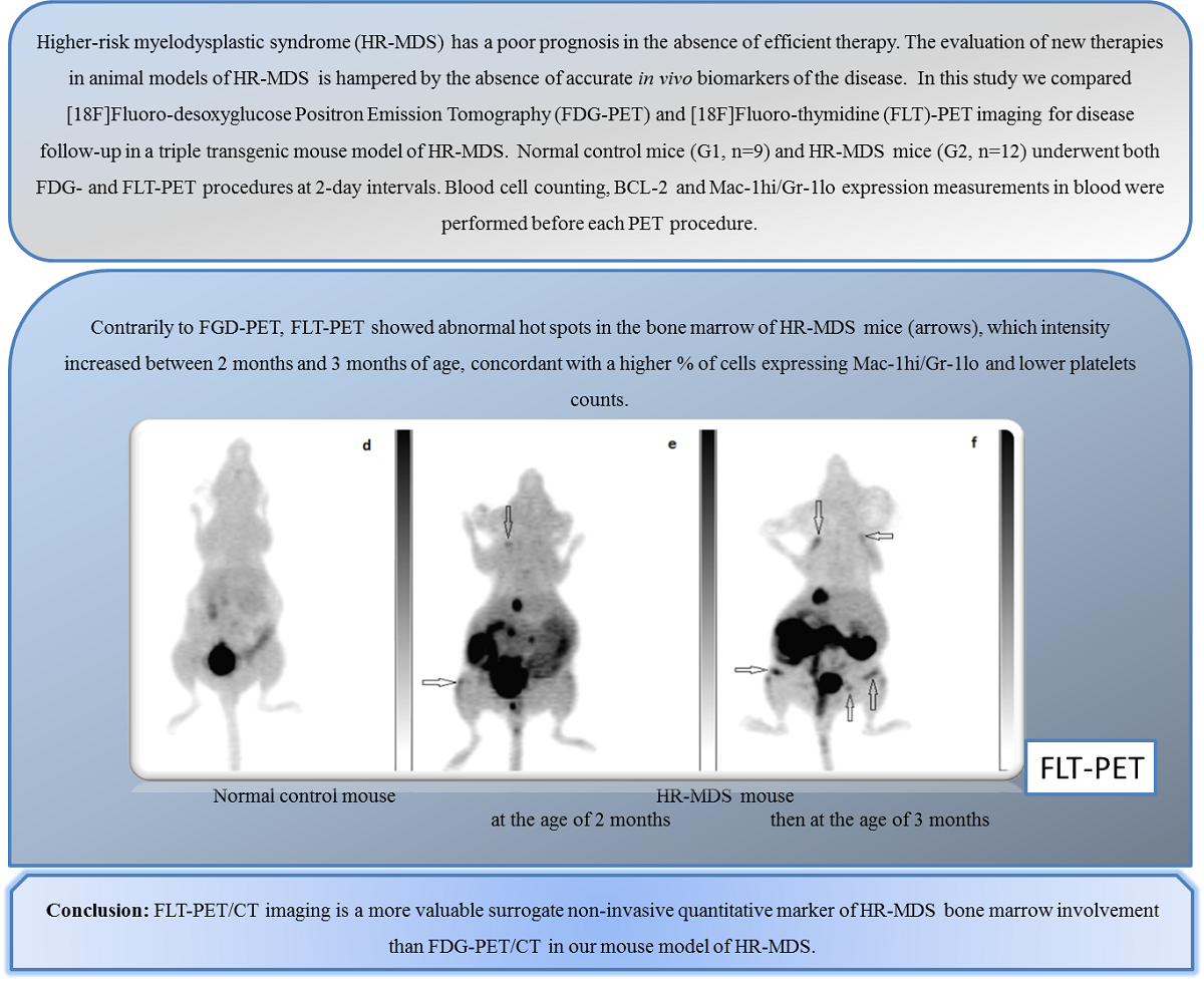 Comparison Of In Vivo 18f Fluoro Desoxyglucose And 18f Fluoro Thymidine Positron Emission Tomography For Disease Monitoring In A Mouse Model Of Higher Risk Myelodysplastic Syndrome V1 Preprints
