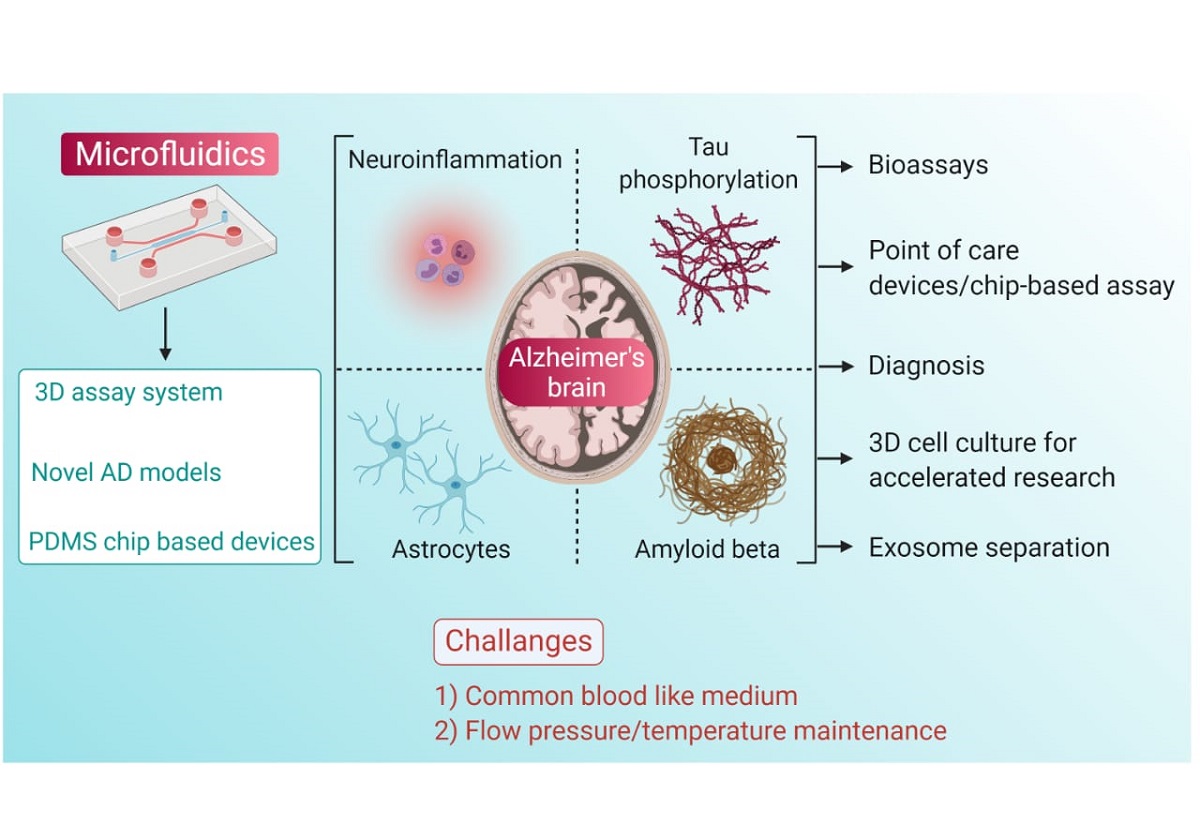 Microfluidic Platforms To Unravel Mysteries Of Alzheimer S Disease How Far Have We Come V1 Preprints