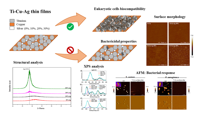 Biocompatibility And Antibacterial Properties Of Ticu Ag Thin Films Produced By Physical Vapor Deposition Magnetron Sputtering V1 Preprints