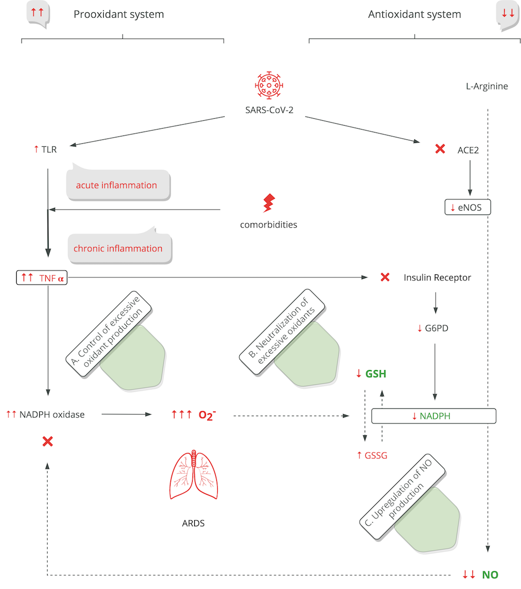 Pathobiochemistry Directed Guidelines For Covid 19 V1 Preprints