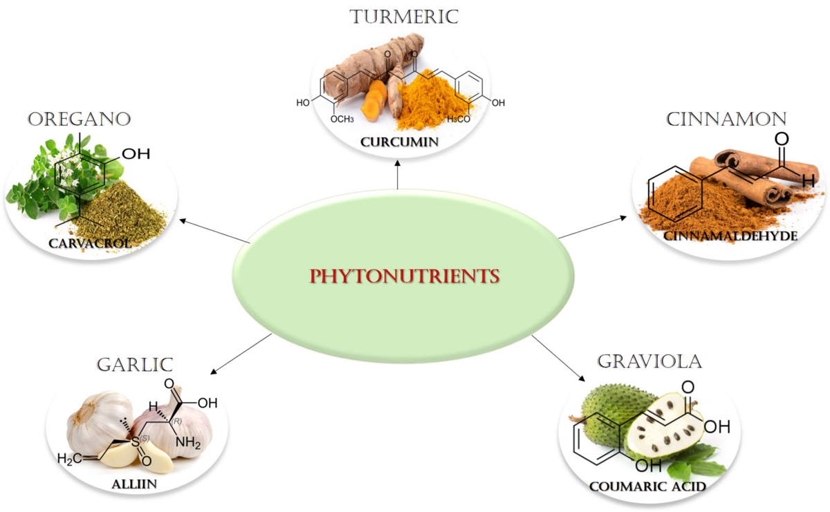 Biomedical Effects Of Popular Phytonutrients And Their Phytochemicals A Comprehensive Review V1 Preprints
