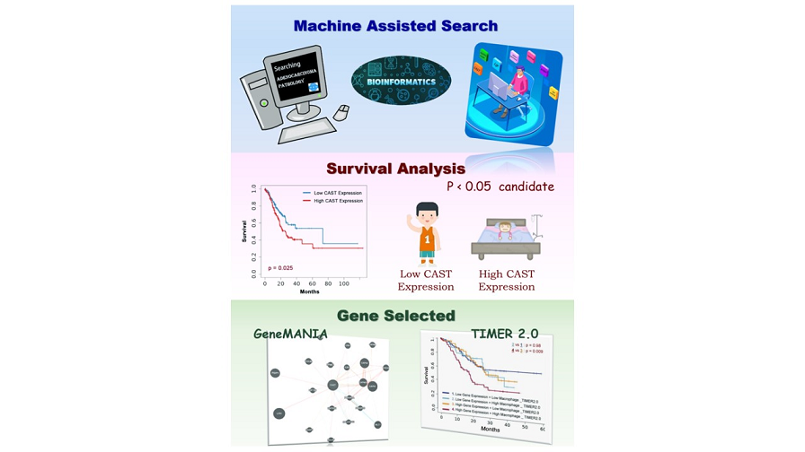 Cast As A Potential Oncogene From Machine Searching In Gastric Cancer Infiltrated With Macrophage And Associated With Lgr5 V1 Preprints