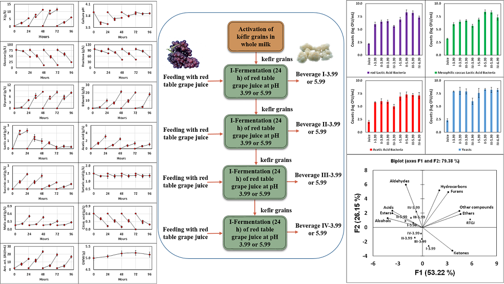 Chemical Microbiological And Volatile Composition Of Kefir Like Beverages Produced From Red Table Grape Juice In Repeated 24 H Fed Batch Subcultures V1 Preprints