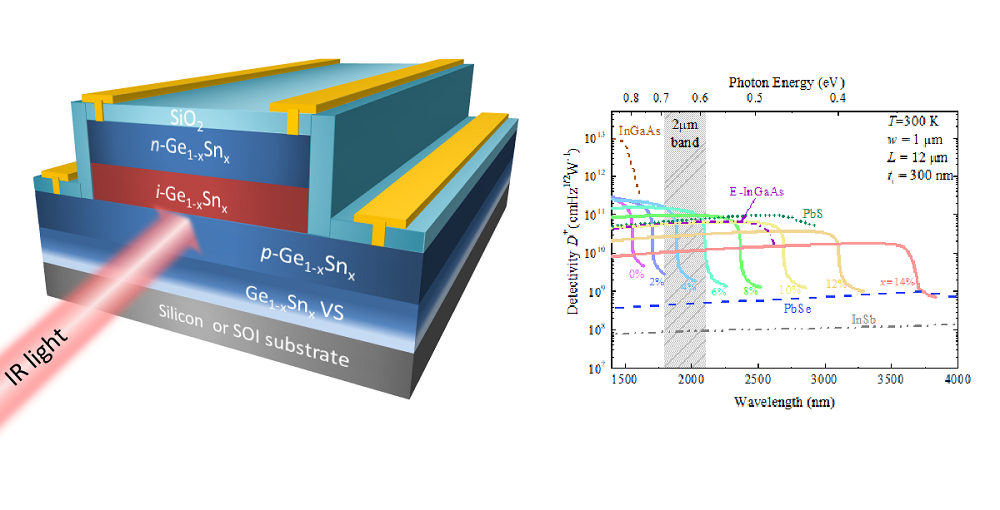 Design and Optimization of GeSn Waveguide Photodetectors for 2µm Band