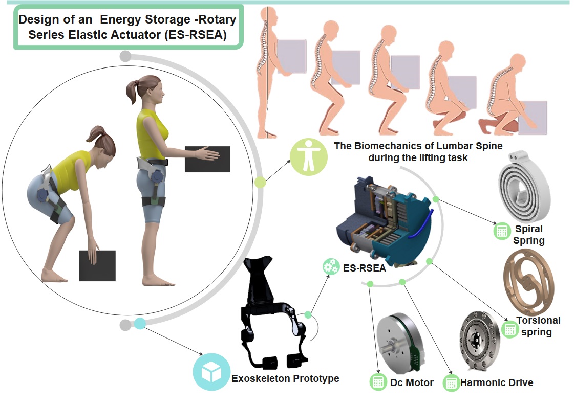 Design of a Compact Energy Storage with Rotary Series Elastic Actuator