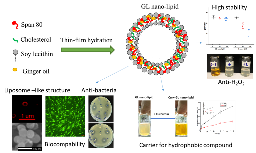 Nanolipids based on Ginger Oil and Lecithin as A Potential Drug
